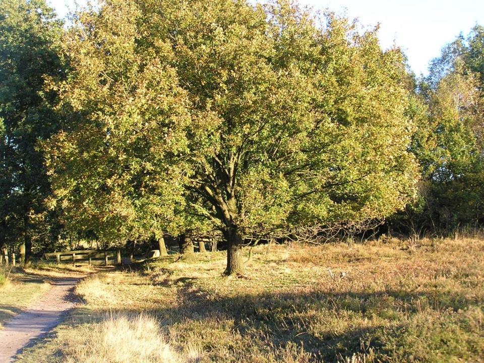 City-Apparte One Zentrales & Komfortables Wohnen In Gronau Gronau  Buitenkant foto
